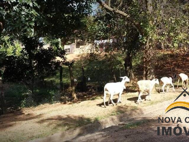 Área para Incorporação para Venda em Itupeva - 4