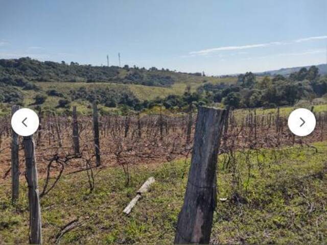 Área para Venda em Itupeva - 5