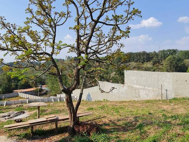 #4185 - Terreno para Venda em Jarinu - SP - 3