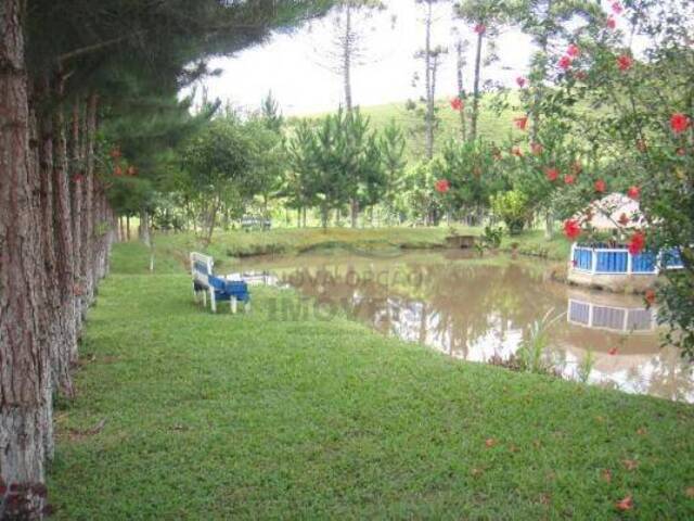 #3936 - Fazenda para Venda em Lorena - SP - 2