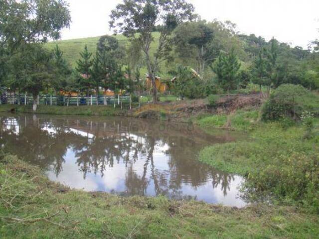 #3936 - Fazenda para Venda em Lorena - SP - 3